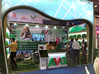 All Victory Grass at Canton Fair