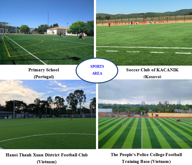 Sports Area