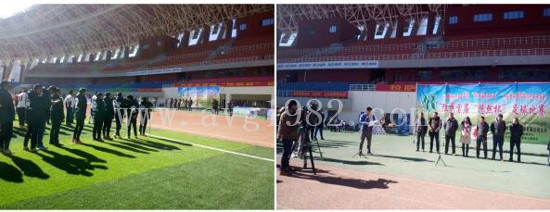 Artificial turf