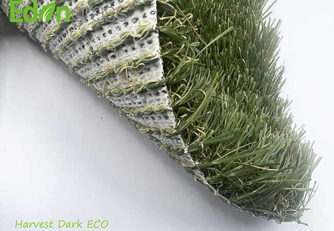 /ECO Revolution
